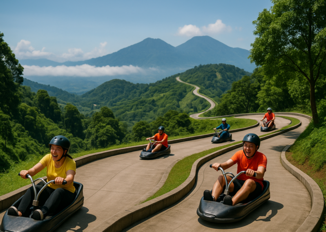 Go-Luge Puncak Bogor, Meluncur di Atas Awan